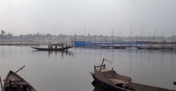 দরিদ্র জেলেদের মাছ লুটের অভিযোগ আ.লীগ নেতার বিরুদ্ধে