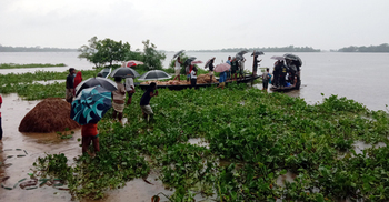 পাট কাটতে গিয়ে ঝড়ের কবলে নিখোঁজ শ্রমিকের মরদেহ উদ্ধার