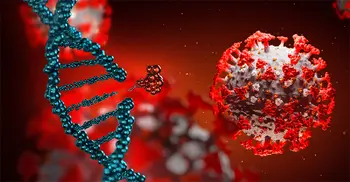 করোনাভাইরাস : বগুড়ায় একদিনে ৬ জনের মৃত্যু