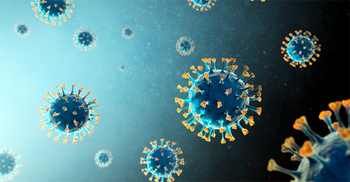 বগুড়ায় করোনা ও উপসর্গ নিয়ে দু’জনের মৃত্যু