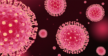 ৯ দিনেও মেলেনি করোনা পরীক্ষার রিপোর্ট, উপসর্গ নিয়েই মৃত্যু