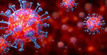 ভয়ে সেবা দিচ্ছেন না চিকিৎসকরা, বিপদে রোগীরা