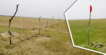 পতাকা দিয়ে চলছে চর দখল