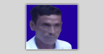 গাছ থেকে পড়ে কৃষকলীগ নেতার মৃত্যু