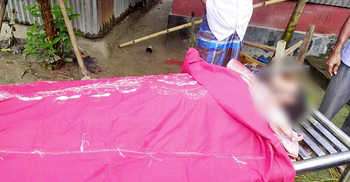 ক্ষেত থেকে ধান নিয়ে যাওয়ার সময় বজ্রপাতে শ্রমিকের মৃত্যু