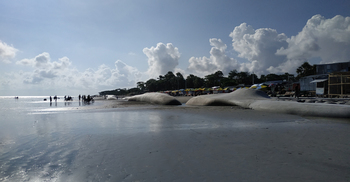 ১০০ দিন পর উন্মুক্ত হলো সমুদ্রকন্যা কুয়াকাটা সৈকত