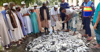 ফেলে রাখা বস্তায় মিলল ৫ মণ জাটকা