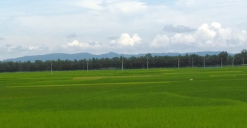 সীমান্ত থেকে বাংলাদেশিকে ধরে নিয়ে গেছে বিএসএফ