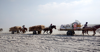 চরাঞ্চলে ভরসা কেবল ঘোড়ার গাড়ি