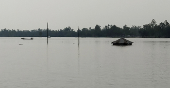 কুড়িগ্রামে নদ-নদীর পানি বাড়ছেই