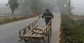 কুড়িগ্রামে ৮ ডিগ্রিতে তাপমাত্রা, বিপর্যস্ত জনজীবন