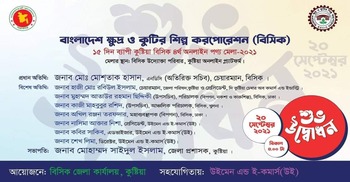 কুষ্টিয়ায় চলছে বিসিকের অনলাইন পণ্য মেলা