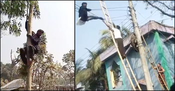 পরাজিত চেয়ারম্যান প্রার্থীর ‘আত্মহত্যার চেষ্টা’