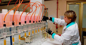 Russians have destroyed Chernobyl lab: Ukraine