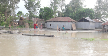 ‘তিস্তা হামাক শ্যাষ করি দিলো’