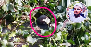 বল তুলতে গিয়ে খালে মিললো মাইক্রোবাস চালকের মরদেহ