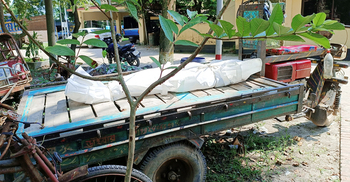 সাবেক স্ত্রীর ওড়নায় ঝুলছিল যুবকের মরদেহ