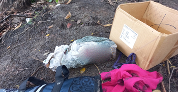 রাস্তার পাশে পড়েছিল কাপড়ে মোড়ানো নবজাতকের মরদেহ