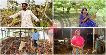 টাকা নেই কৃষকের হাতে, বন্ধের পথে বহু খামার