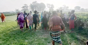 ধানক্ষেতে মিললো কৃষকের পা বাঁধা মরদেহ