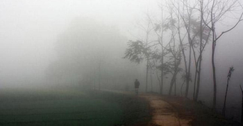 মেহেরপুরে দেশের সর্বনিম্ন তাপমাত্রা, শীতে জবুথবু অবস্থা