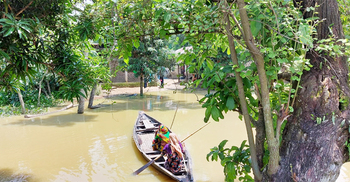 পাহাড়ি ঢলে মৌলভীবাজারে ২ লাখ মানুষ পানিবন্দি