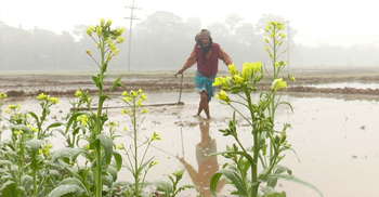 এক সপ্তাহ সূর্যের দেখা নেই মাদারীপুরে, শীতে বিপর্যস্ত জীবন