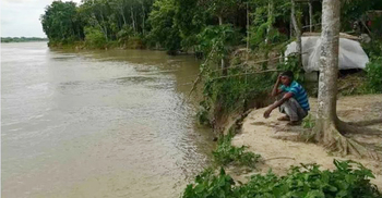 মাগুরায় নদী ভাঙনে দিশেহারা হয়ে পড়েছেন এলাকাবাসী