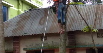 আম পাড়তে গিয়ে গাছেই যুবকের মৃত্যু