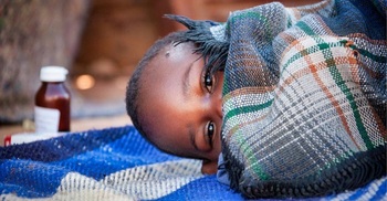 Trial suggests malaria sickness could be cut by 70%