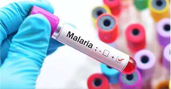 Malaria deaths rise by 69,000 in 2020 due to COVID-19 disruptions: WHO