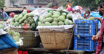 লকডাউনের প্রভাব পড়েছে কানসাট আম বাজারে