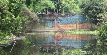 ‘আমিষের চাহিদা মেটাতে’ নদী-কৃষিজমি দখল করে মাছচাষ!