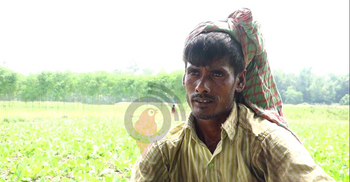 ‘আমাগো এহন মরণদশা’