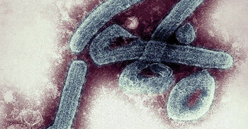 Ghana confirms first cases of deadly Marburg virus