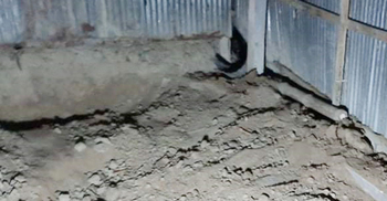 বরগুনায় মাটি খুঁড়ে মা-মেয়ের হাত-পা বাঁধা মরদেহ উদ্ধার