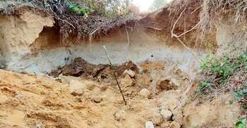 পাখির বাসা খুঁজতে গিয়ে মাটিচাপায় ৩ শিশুর মৃত্যু