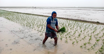 মৌলভীবাজারে তীব্র শীতে বিপাকে নিম্নআয়ের মানুষ