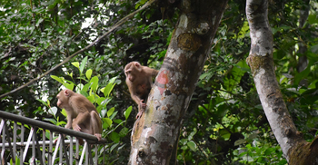 অপার সম্ভাবনা থাকলেও সমস্যা অনেক