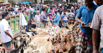 হাটে ছাগল আছে ক্রেতা নেই