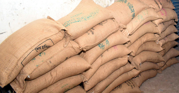 মির্জাপুরে সরকারি চাল পাচার, ডিলারসহ সাতজনের বিরুদ্ধে মামলা