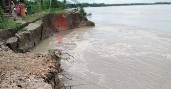 মধুমতির ভাঙনে শতাধিক ঘরবাড়ি ও ফসলি জমি বিলীন