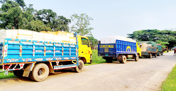 কুলাউড়া দিয়ে ত্রিপুরায় গেলো ২৯২ মণ ইলিশ