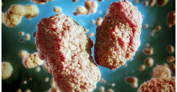 Monkeypox virus outbreaks are containable: WHO