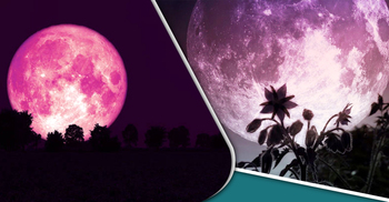 স্ট্রবেরি সুপারমুন দেখতে কেমন?