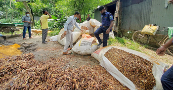 পচা মরিচে রঙের মিশ্রণ, মিলমালিককে জরিমানা