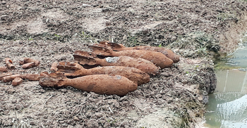 সবজি ক্ষেতে মিলল পাঁচটি মর্টারশেল