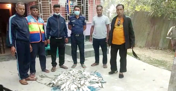 আড়ত থেকে সাড়ে ৫ মণ জাটকা জব্দ