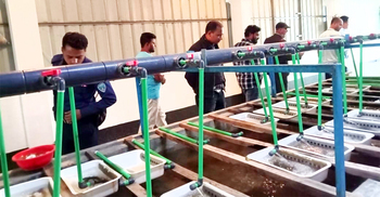 অনুমোদন না নেওয়ায় নোয়াখালীতে মৎস্য হ্যাচারিকে জরিমানা
