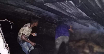 খামারে ধোঁয়া দিয়ে মশা তাড়ানোর চেষ্টা: আগুনে প্রাণ গেলো ২৭ গরুর